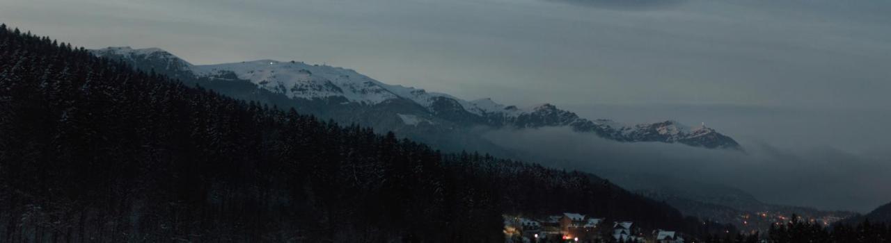 Best View Ap With Parking And 2 Bathrooms Sinaia Bagian luar foto