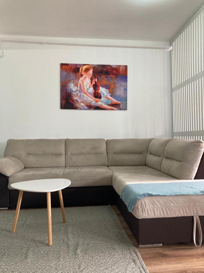 Best View Ap With Parking And 2 Bathrooms Sinaia Bagian luar foto