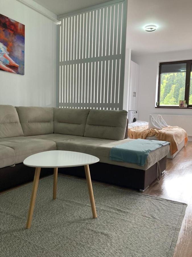 Best View Ap With Parking And 2 Bathrooms Sinaia Bagian luar foto