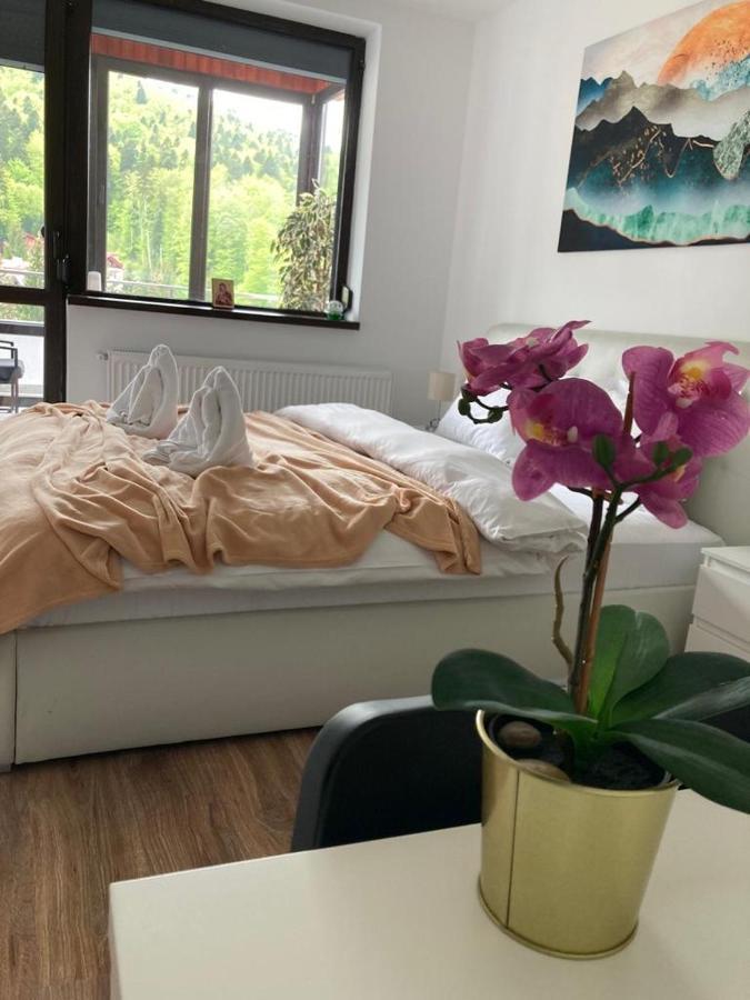 Best View Ap With Parking And 2 Bathrooms Sinaia Bagian luar foto