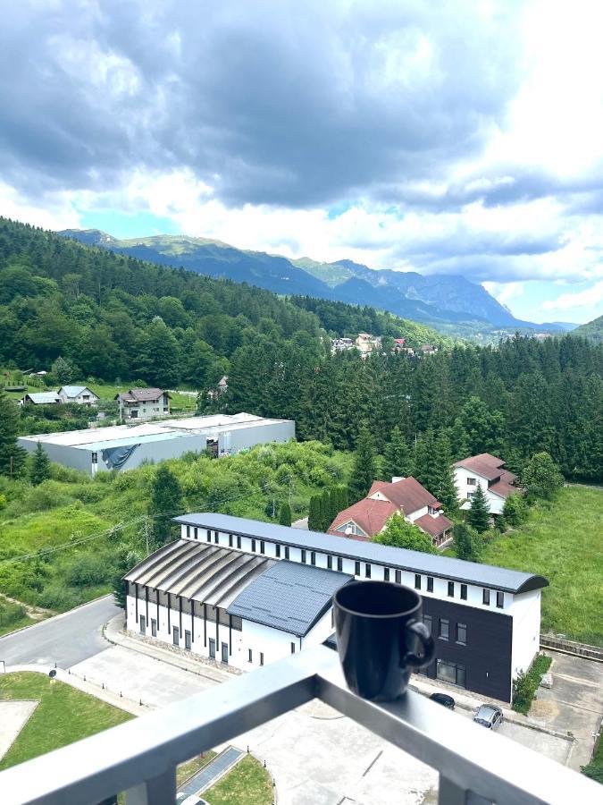 Best View Ap With Parking And 2 Bathrooms Sinaia Bagian luar foto