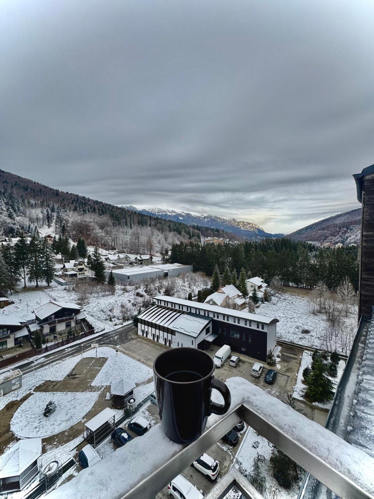 Best View Ap With Parking And 2 Bathrooms Sinaia Bagian luar foto